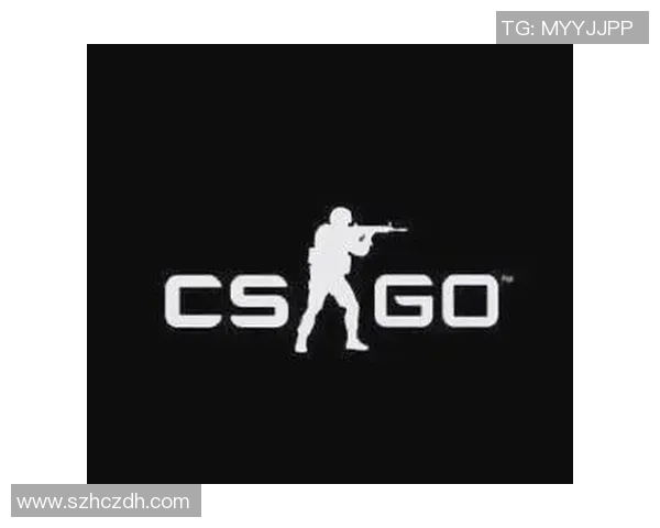 CS_GO纪实：记录LNG的奋斗经历